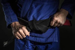 The Growing Popularity and Belt Rankings of Brazilian Jiu Jitsu