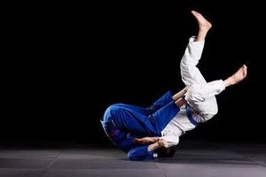 Get Ready and Try Brazilian Jiu Jitsu in Westwood NJ - Check Out DP Martial Arts Krav Maga Academy