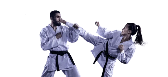 Tae Kwon Do for Teens & Adults
