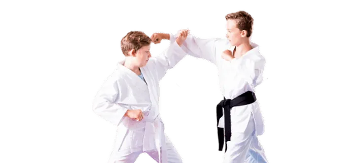 Tae Kwon Do for Kids
