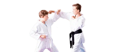 Tae Kwon Do for Kids
